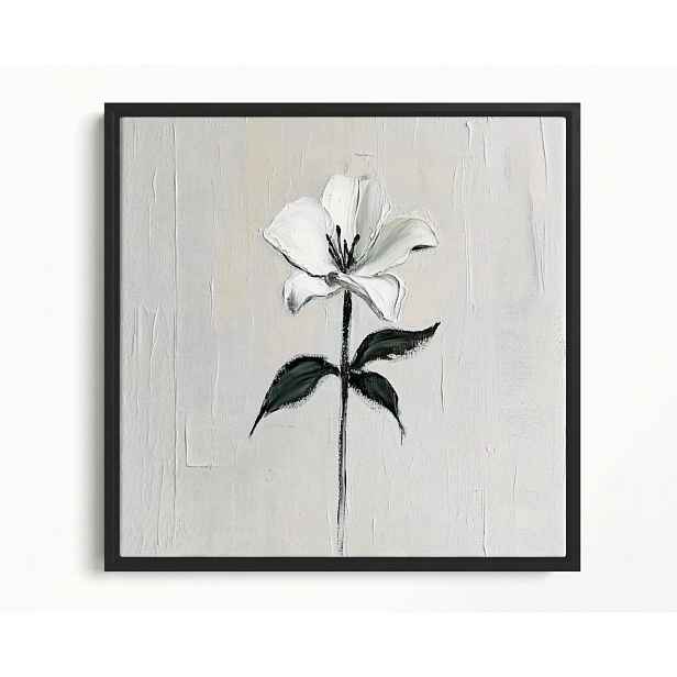 Obraz Rám American Box Olej Impasto Natura Květ Bílá Lilie 50x50