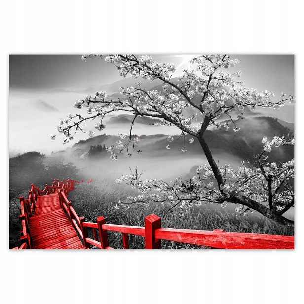 Fototapety 152x104 Kvetoucí višeň