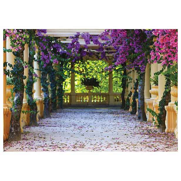 Vliesová fototapeta Pergola růžové květy zahrada 300x210 lepidlo