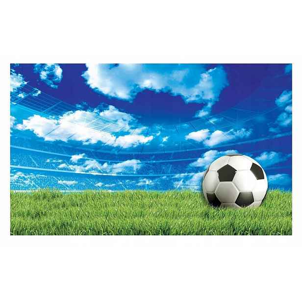 Fototapeta Fotbal Mládež Hřiště 254x184