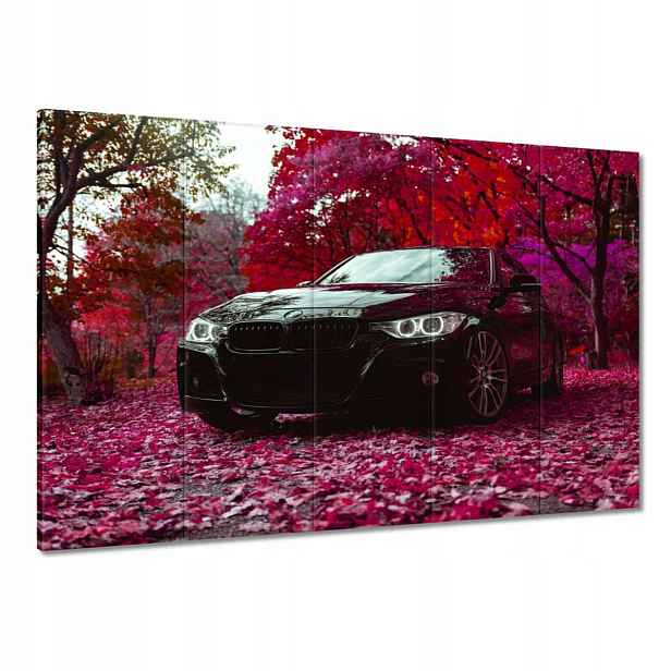Obrazy 100x70 Černé Bmw Podzim