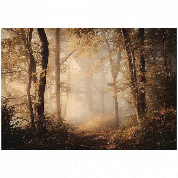 Wallarena FOTOTAPETA les stromy hnědá 150x105 cm