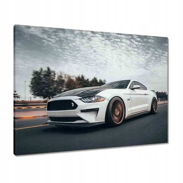 Obrazy 80x60 Bílý Ford Mustang Auto