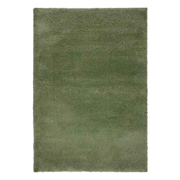 Zelený koberec 160x230 cm – Flair Rugs
