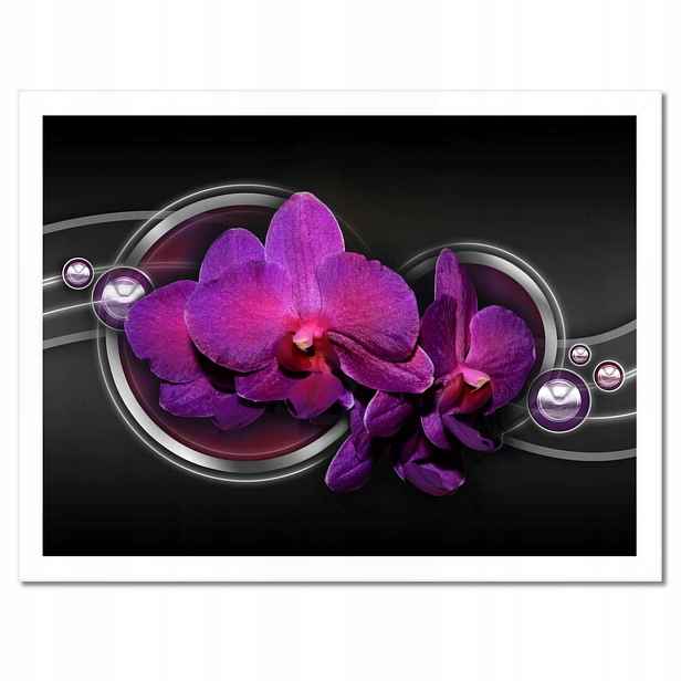 Plakáty v rámu 40x30 Fialová orchidej