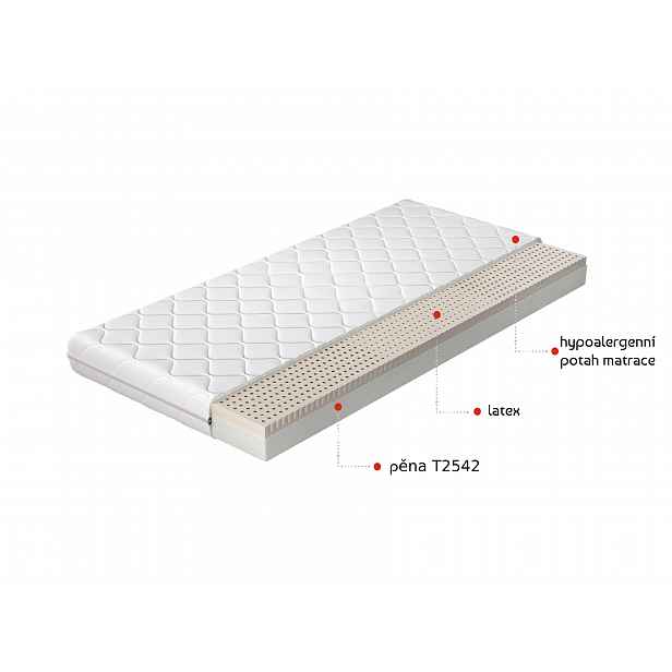 Matrace Moska Rozměr: 90 x 200 cm, Potah: Hypoalergenní potah