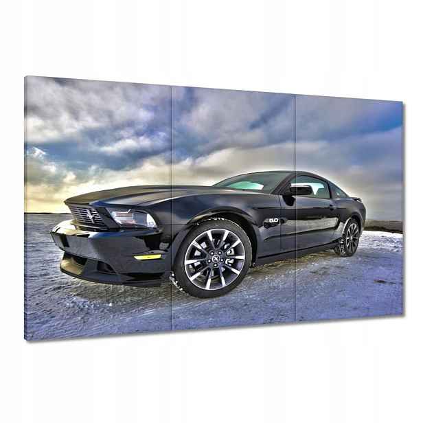 Obrazy 120x80 Ford Mustang v zimě