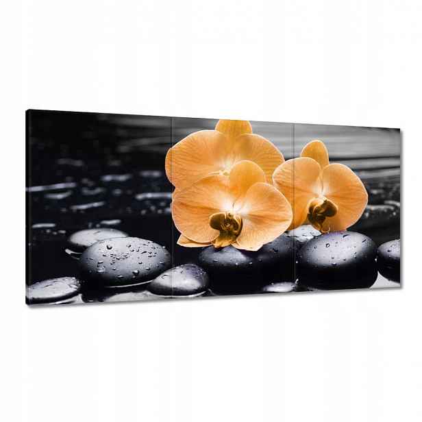Obrazy 180x90 Oranžové orchideje