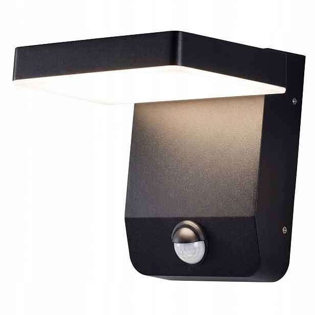 Nástěnná nástěnná lampa Ladis Černá Led 20 W IP65 MaxLight