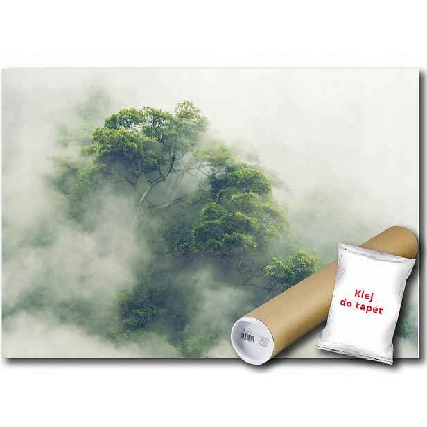 Fototapeta Flizelina Les Stromy Mlha 416x290