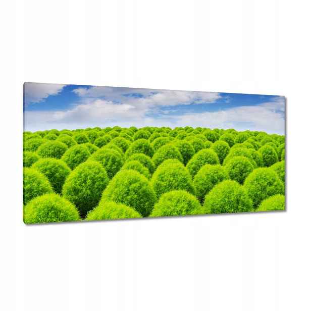 Obrazy 115x55 Zelený pohled Dolina