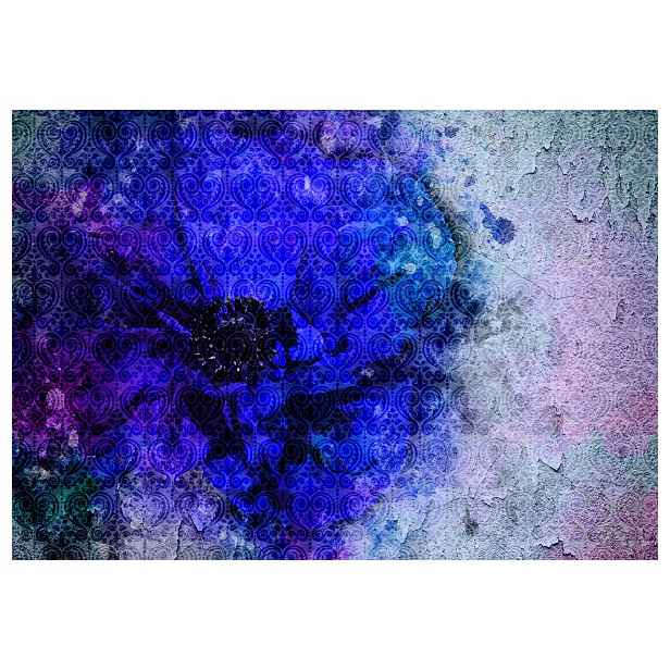 Tapeta Mak & Textura vinylová 416x254 květy boho vintage rustikální lepidlo