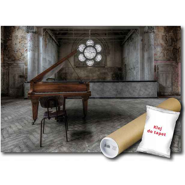 Fototapeta Fortepian Sala 24A Fxl 208x146 F12658