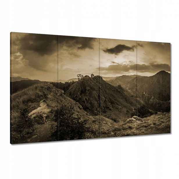 Obrazy 120x80 Hnědá krajina Krajina