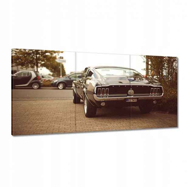 Obrázky 120x60 Ford Mustang Černobílé