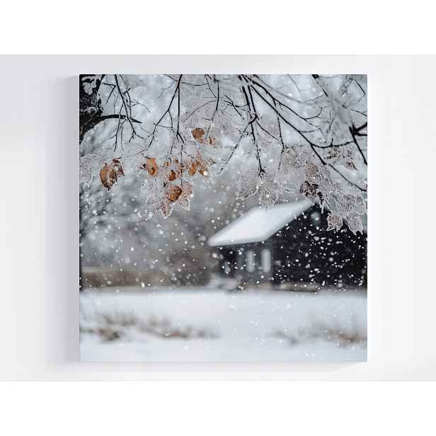 Obraz Na Plátně Canvas Krajina Dům Dřevo Zima Sníh Námraza Led Mráz 50x50