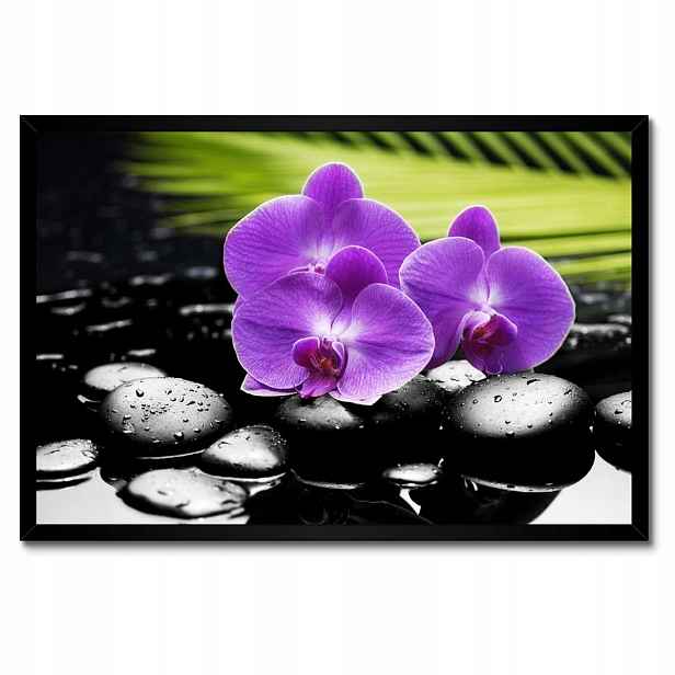Plakáty v rámu 60x40 Fialové orchideje