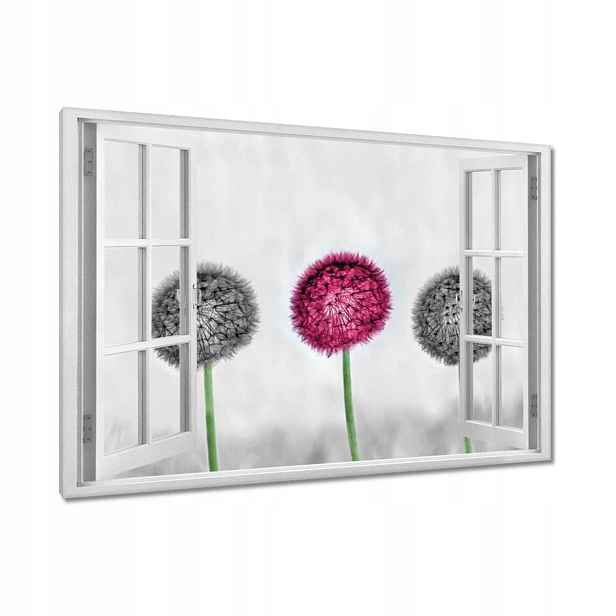 Obrazy 120x80 Růžový pampeliška Květina