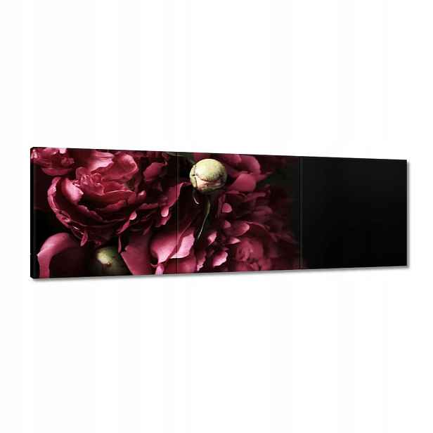 Obrazy 150x50 Krásné fialové pivoňky