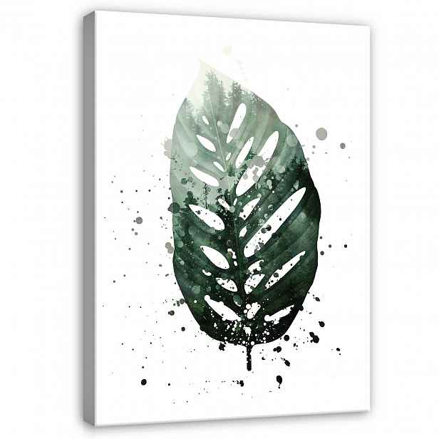Obraz Listy Monstera Na Plátně Stěna Moderní Ložnice Velký 100x70