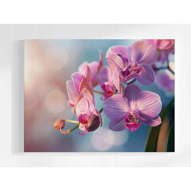 Plakát Květina Orchidej Příroda Zen 100x75