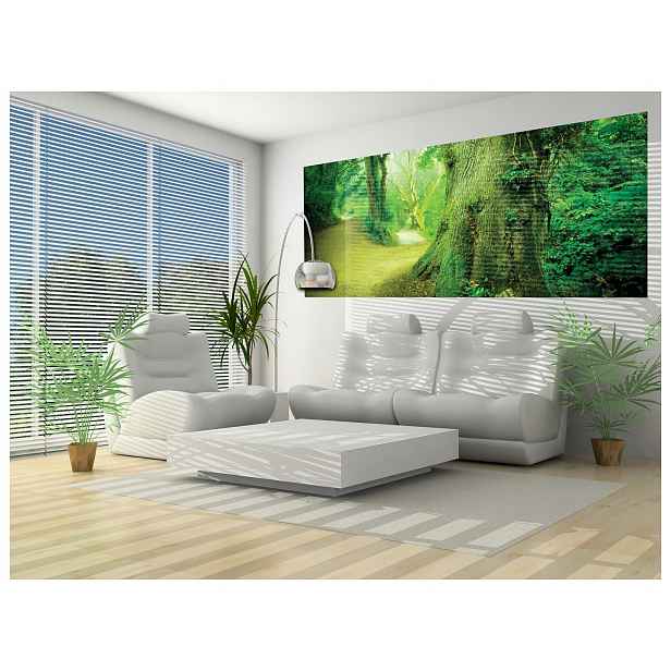 Fototapeta Zelená stezka v mlze lesa ráno klid 250x104 lepidlo