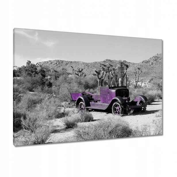 Obrazy 100x70 Fialové ostřelované auto