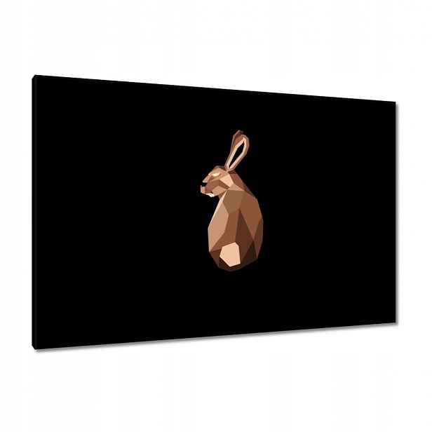 Obrazy 120x80 Zajíček na černém pozadí