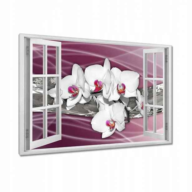 Obrazy 90x60 Orchideje