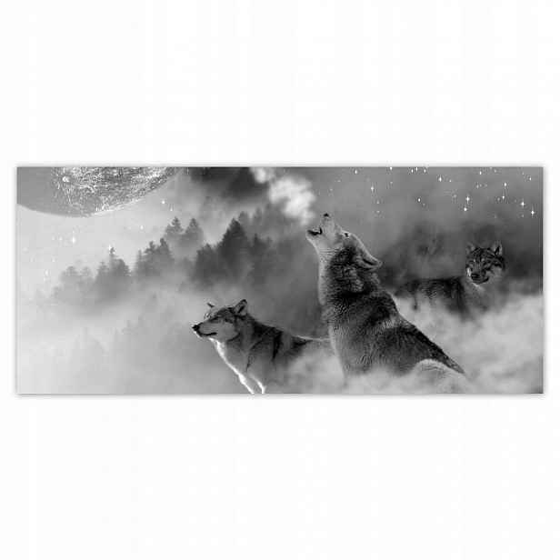 Fototapety flizelina 211x91 Vlci Měsíc