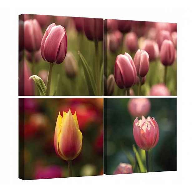 Obraz Na Plátně Plátno 50x50 Květy Tulipány Louka