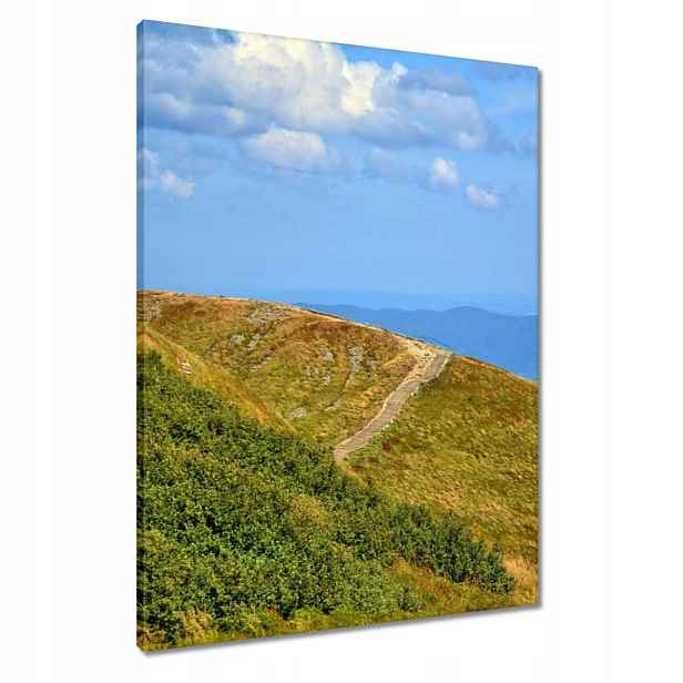 Obrazy 60x80 Bieszczady