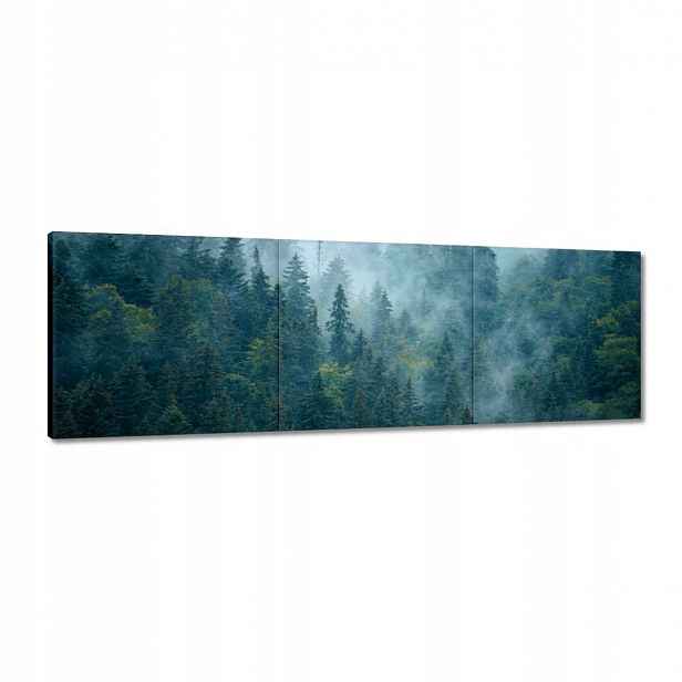 Obrazy 120x40 Les v mlze Cestování