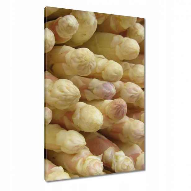 Obrazy 60x90 Čerstvý chřest