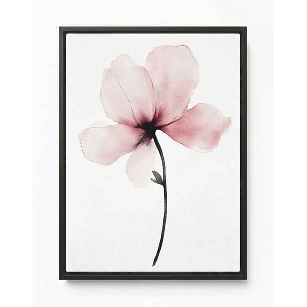 Obraz Rám Americký Box Akvarel Příroda Zahrada Květ Růžová Magnolie 60x80