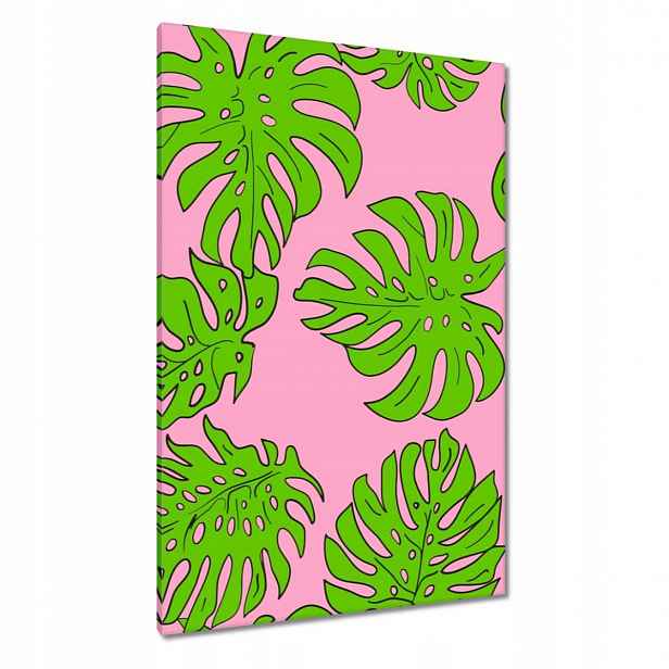 Obrazy 80x120 Monstera Zelená Růže