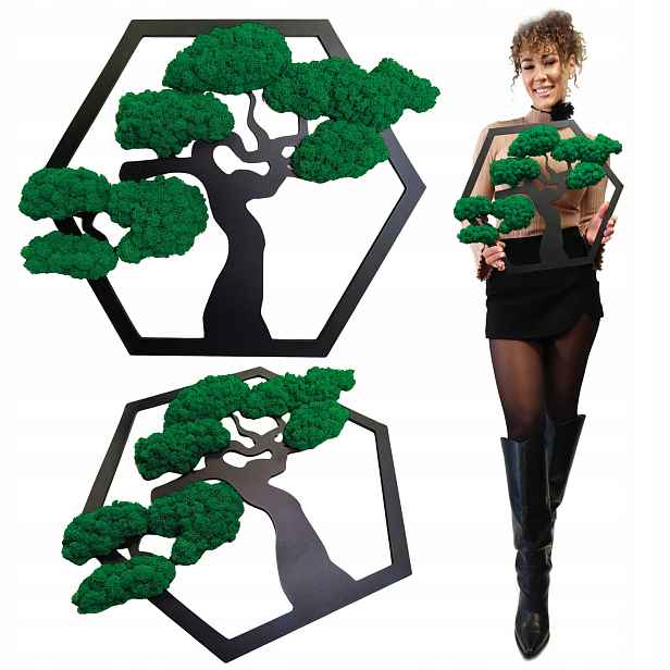 Obraz Mech Chrobotek Stromek Bonsai Obraz Z Mechu Stromek Jako Dárek 50x41 cm