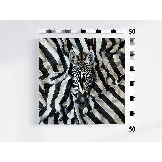 Obraz Na Plátně Plátno Černé Bílé Zebra Portét Látka Povlečení 50x50
