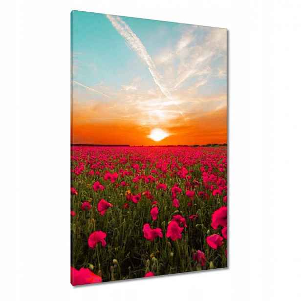 Obrazy 80x120 Růžové máky Západ slunce