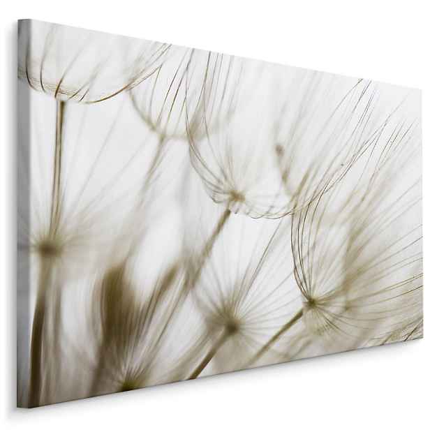 Plátno Odkvétající Pampeliška III. Varianta: 120x80