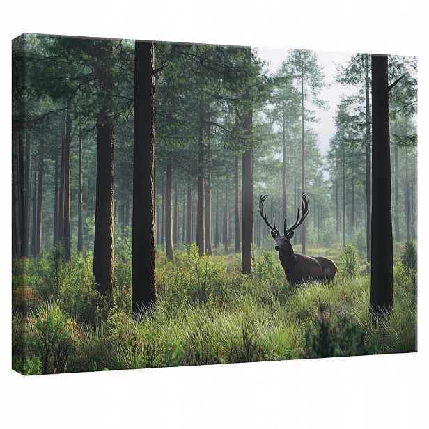Wallarena NÁSTĚNNÉ obrazy jelen les příroda moderní 60x40