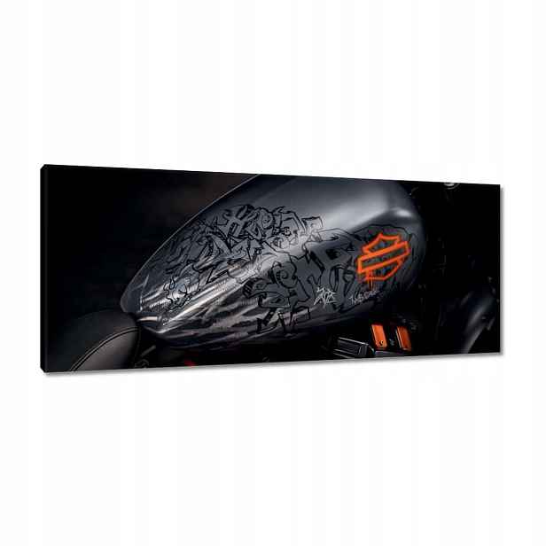 Obrazy 100x40 Harley Davidson Motocykl