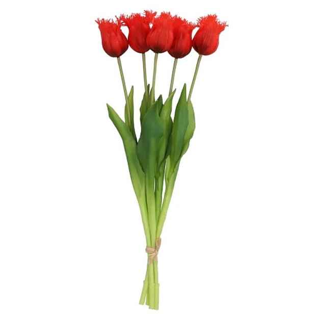 Kytice 5ks červených realistických tulipánů Tulips Papagayo - 46 cm daan kromhout