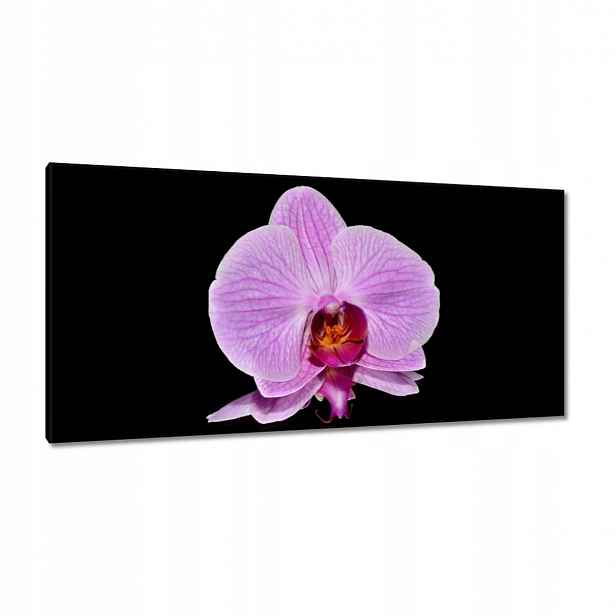 Obrazy 115x55 Fialový orchidej