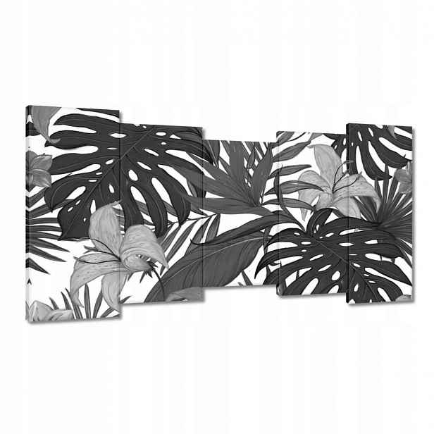 Obrazy 150x80 Černobílá monstera