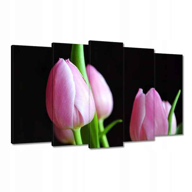 Obrazy 100x60 Fialové tulipány