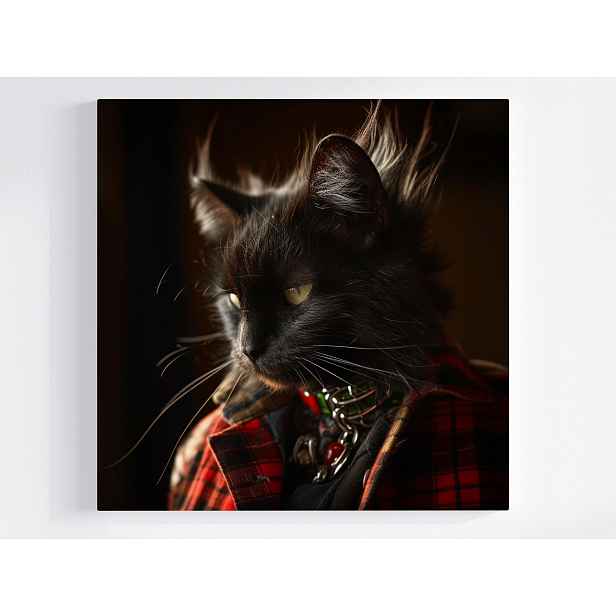 Obraz Na Plátně Canvas Portrét Zvířátka Černá Kočka Model Kocur Moda 50x50
