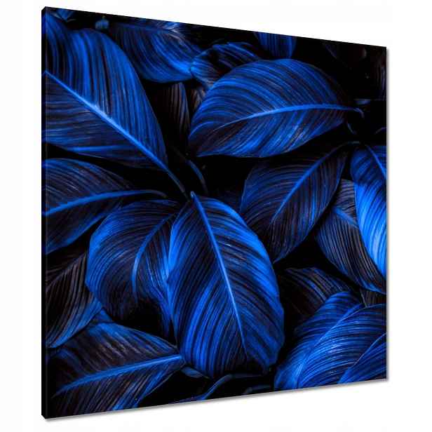 Obrazy 80x80 Modré listy