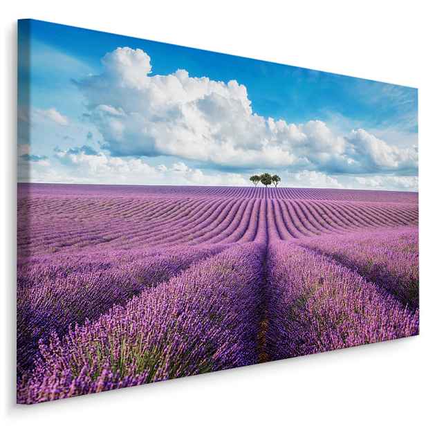 Plátno Levandulové Pole III. Varianta: 30x20