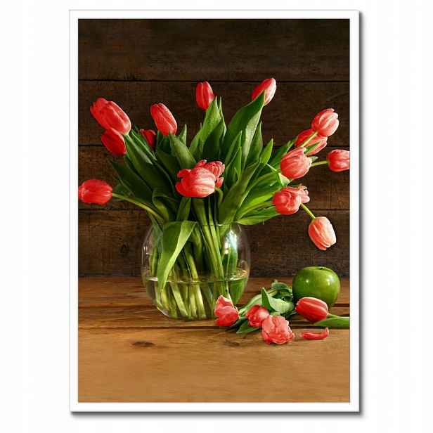 Plakáty v rámu 50x70 Červené tulipány